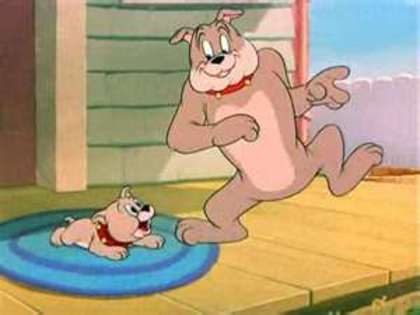 Tom si Jerry