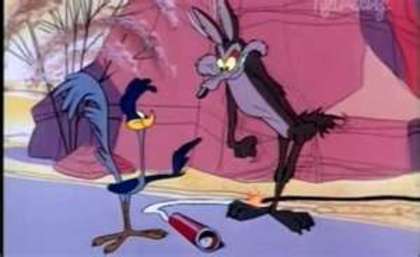 Road Runner and Wile E Coyote