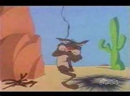 Road Runner and Wile E Coyote