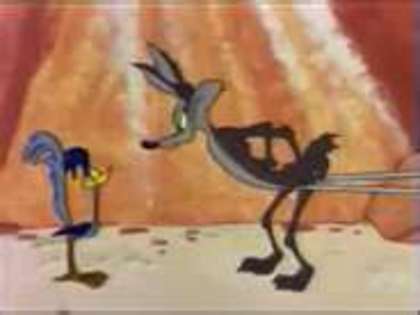 Road Runner and Wile E Coyote