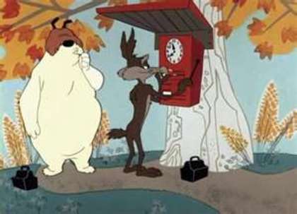 Road Runner and Wile E Coyote