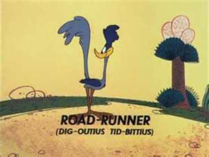 Road Runner and Wile E Coyote