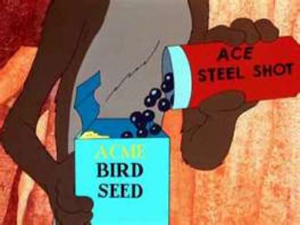 Road Runner and Wile E Coyote