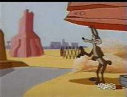Road Runner and Wile E Coyote
