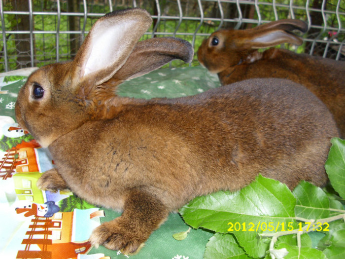 Picture 663