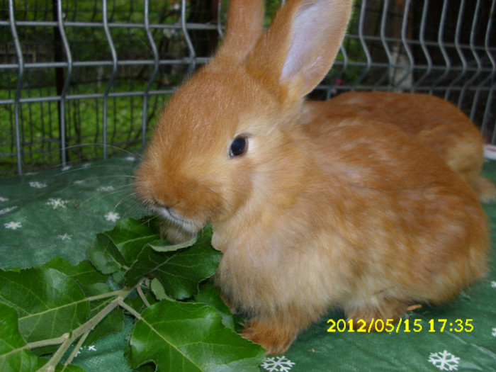 Picture 674