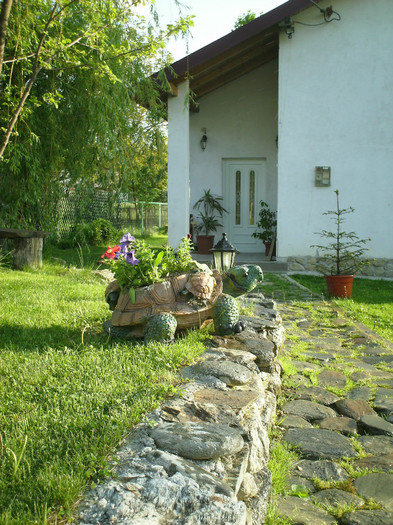 IMG_0008 - PRIN CURTE