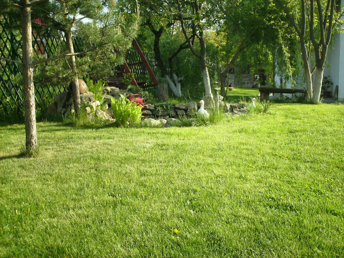 IMG_0009 - PRIN CURTE