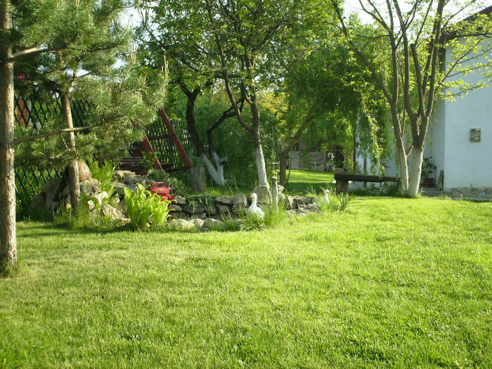 IMG_0010 - PRIN CURTE