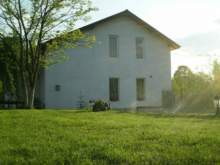 IMG_0011 - PRIN CURTE