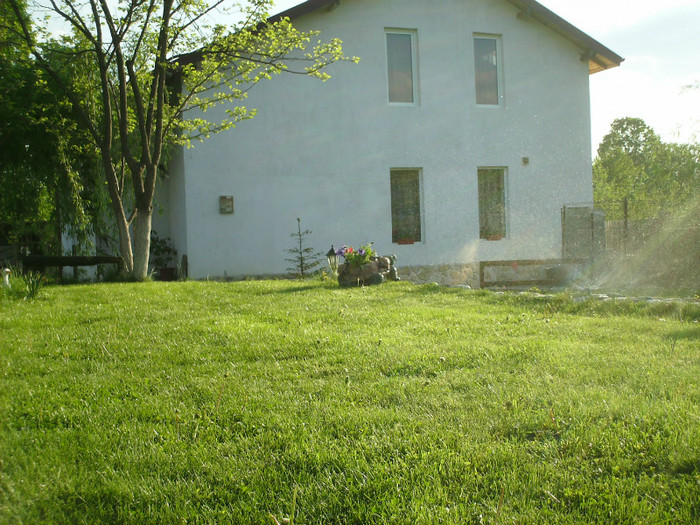 IMG_0012 - PRIN CURTE