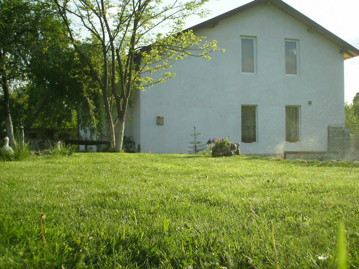 IMG_0014 - PRIN CURTE