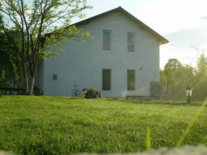 IMG_0015 - PRIN CURTE