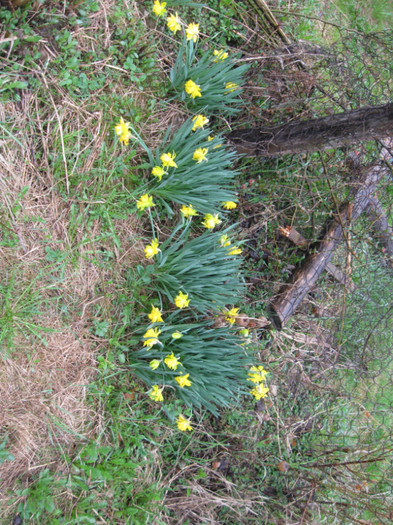 lore 108 - grid 2012