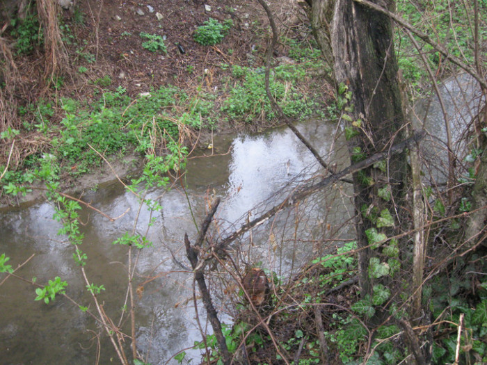 lore 133 - grid 2012