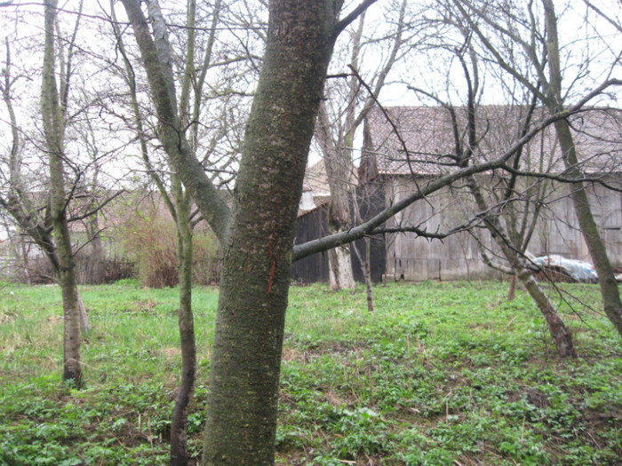 lore 140 - grid 2012