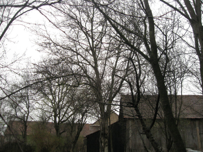 lore 141 - grid 2012