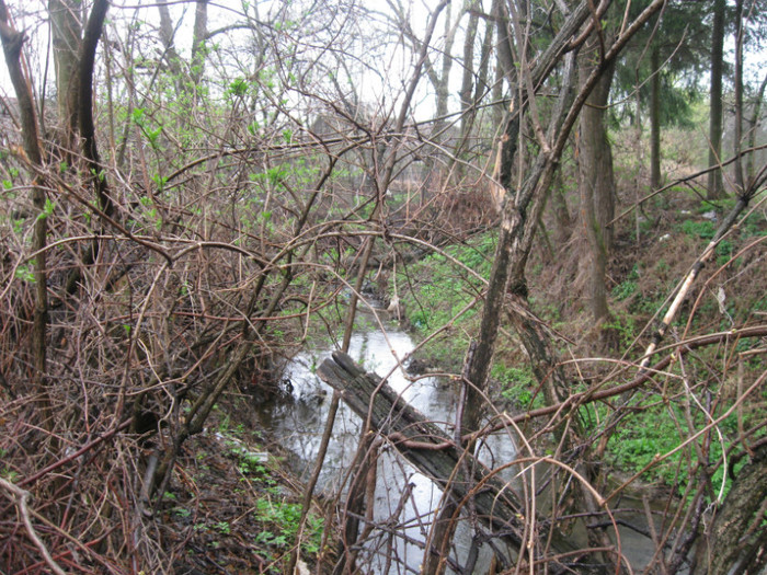 lore 142 - grid 2012