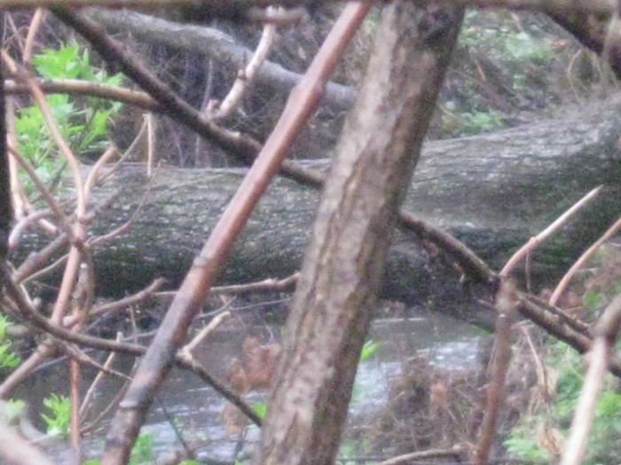 lore 143 - grid 2012