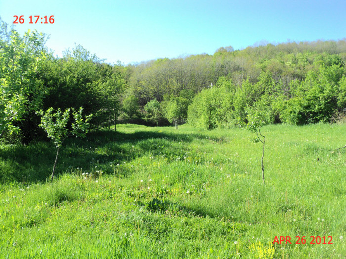 DSC04630