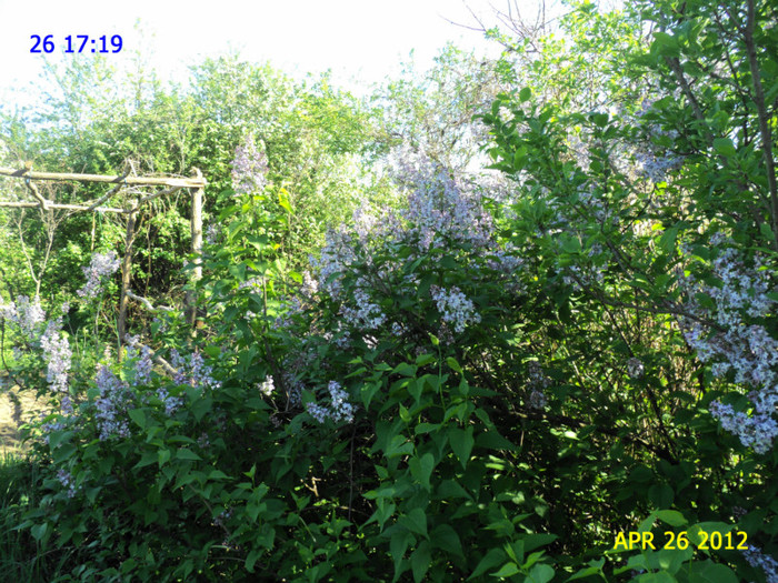 DSC04637