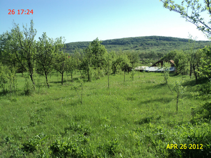 DSC04641