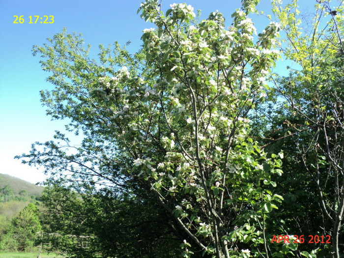 DSC04640