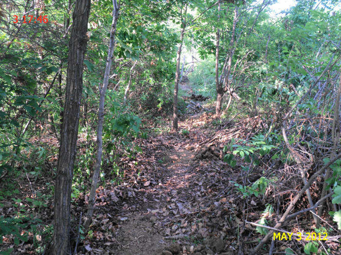 DSC04689