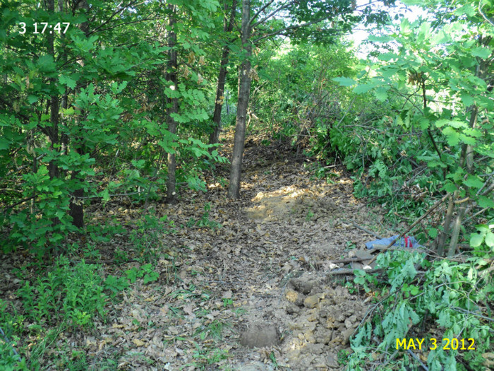 DSC04690