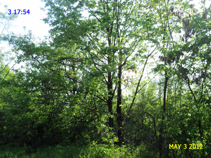 DSC04699