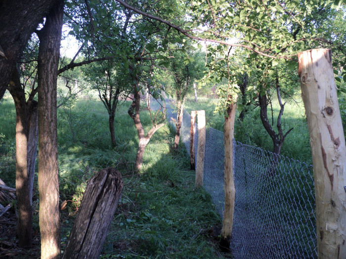DSC04707