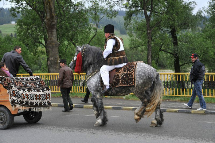 480915_361078303951806_120733424652963_997571_2111856001_n