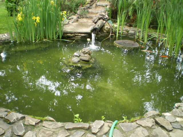 P5160344 - lacul si cascada