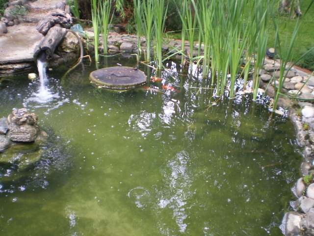 P5160345 - lacul si cascada