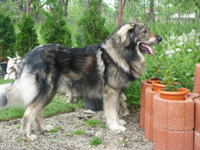 P1050562