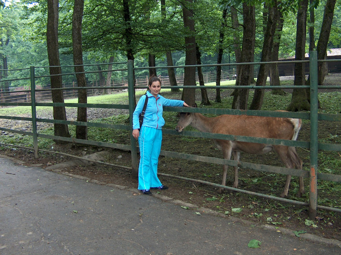 Zoo Targu Mures