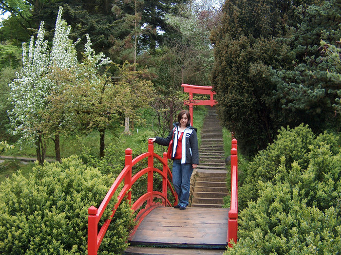 Gradina Botanica Cluj