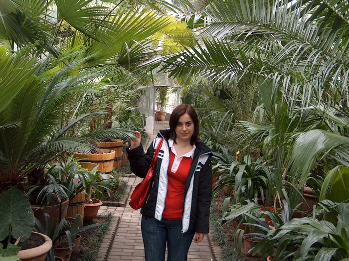 Gradina Botanica Cluj