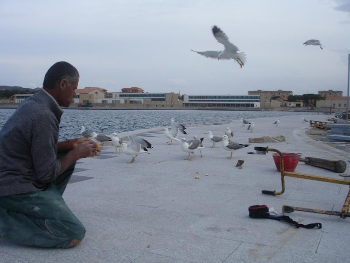 sardinia 8 - SARDINIA