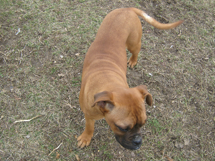 IMG_0391 - xboxer