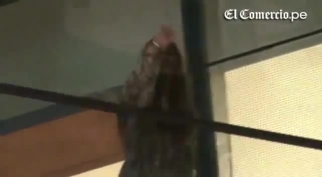 Demi Lovato Llego A Perú Y Saludo A Sus Fans  2012 22537 - Demi - Llego A Peru Y Saludo A Sus Fans 2012 Part o44