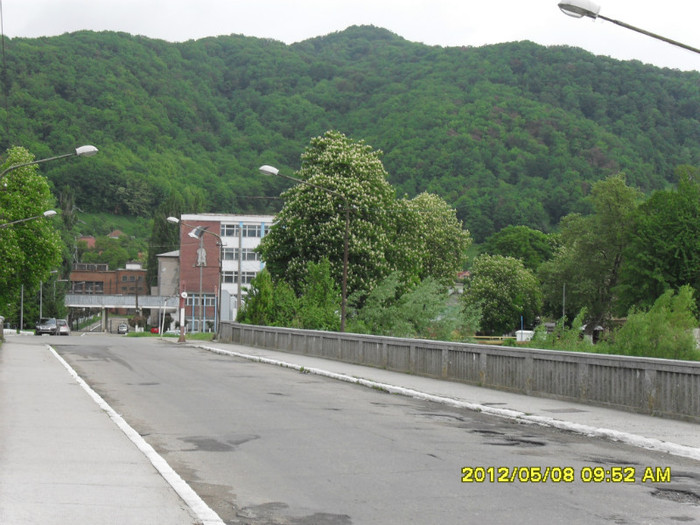 Otelu Rosu-Mai-2012