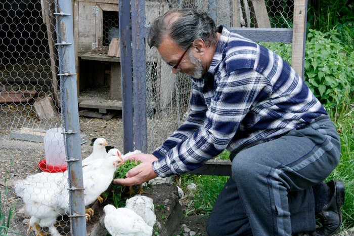 A SOSIT VERDEATA - Foto-studiu