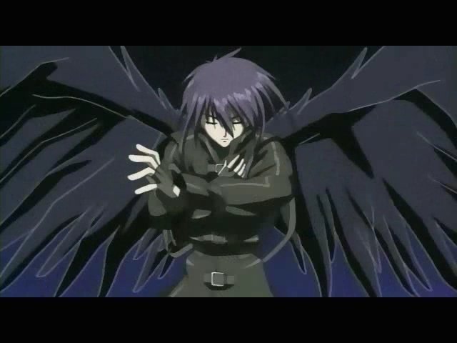dark 5 - DN angel