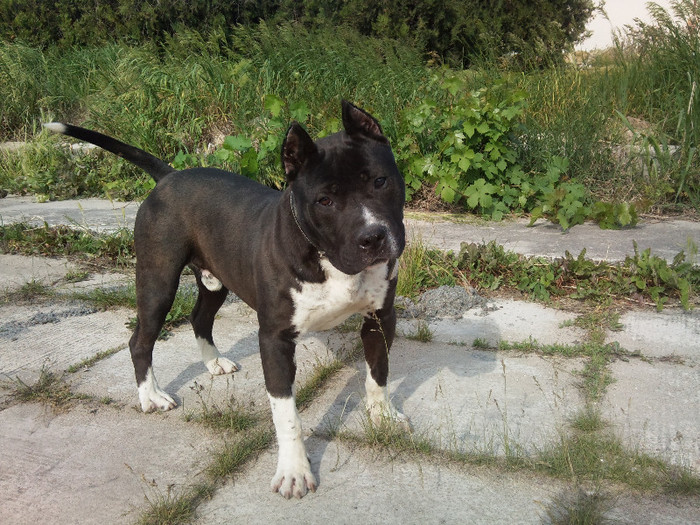 Photo815 - Sara si Leo