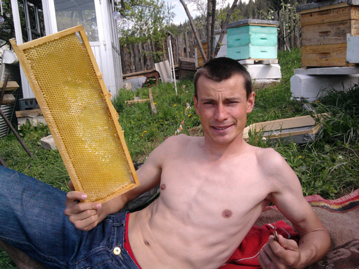 Fotografie2041; Ajutam si eu la cules propolis...:)
