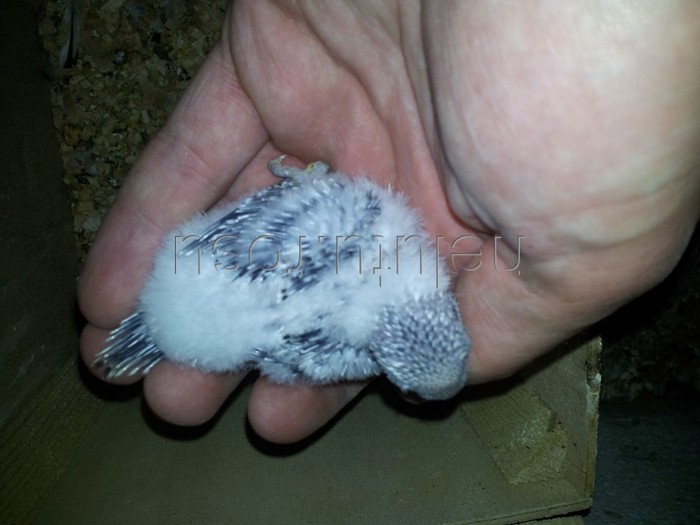 20120517_180643 - Perusi 2012