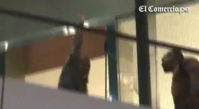 Demi Lovato Llego A Perú Y Saludo A Sus Fans  2012 31944