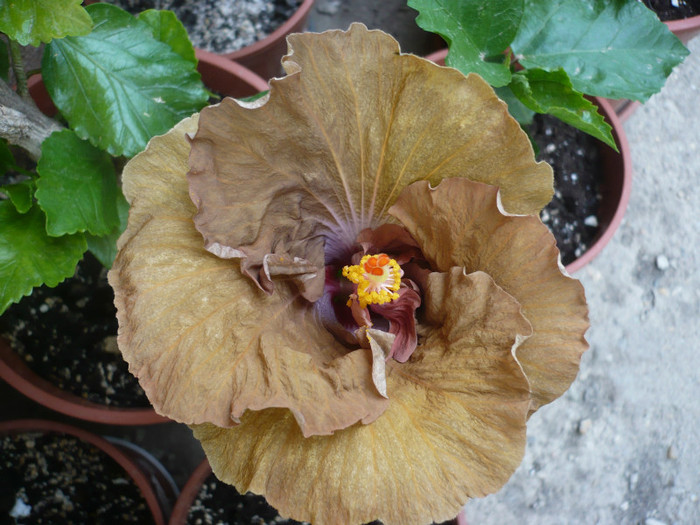 P1130693