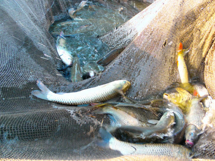 poza 007 - PESCUIT 2012